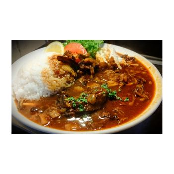 20251024_ビーフストロガノフ